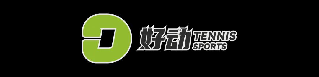 开云app-史上第二高价格 美网冠军奖杯被拍卖 前世界第一破产后 荣耀也成抵债品